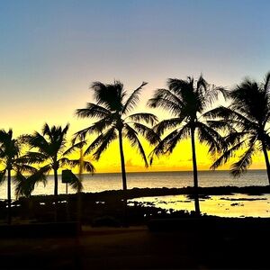 Meet your Posher, Ann